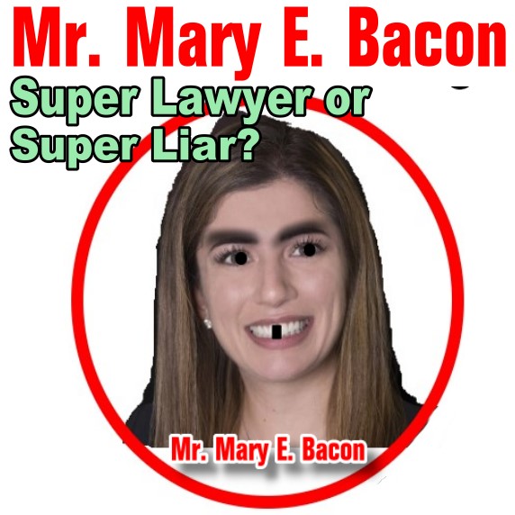 Mary E. Bacon and Judicial Candidate Mei Ling Tsun-Man a/k/a/ Tracy Hibbetts
