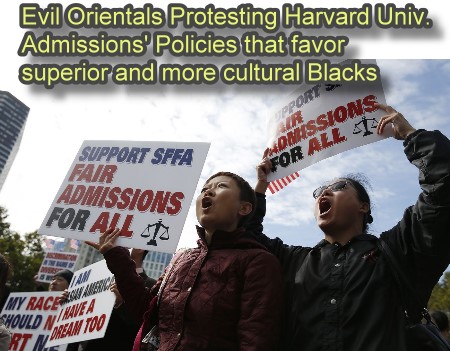 Harvard Protest by Asians