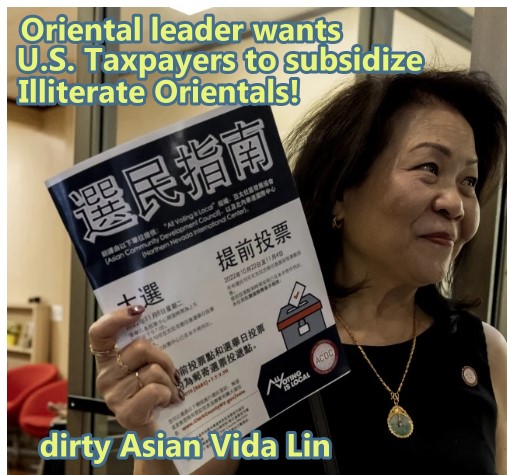 Las Vegas Asisn Leader Vida Lin