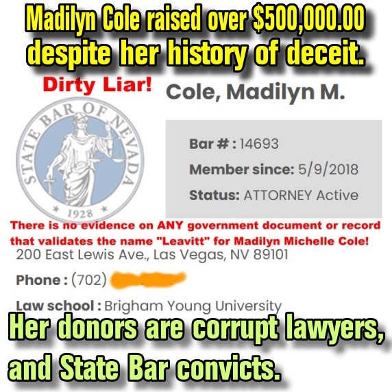Lawyer Madilyn Cole use a false name in 2024 General Election 