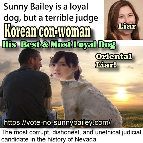 Sunny Bailey for judge