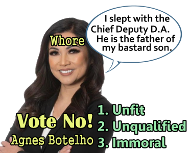 Agnes Botelho + Chief Deputy District Attorney