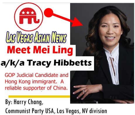 Judicial Candidate Mei Ling Tsun-Man a/k/a/ Tracy Hibbetts