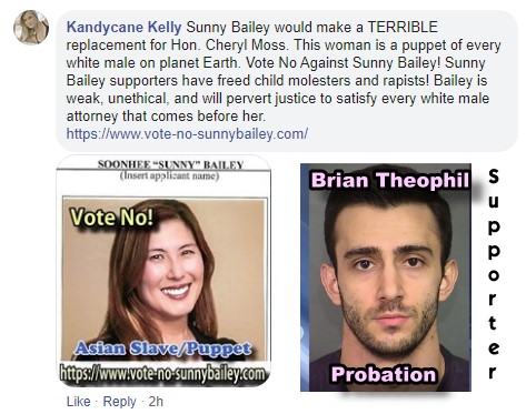 Sunny Bailey for Judge?  Judicial Candidate Sunny Bailey