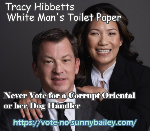 Tracy Hibbetts For Judge